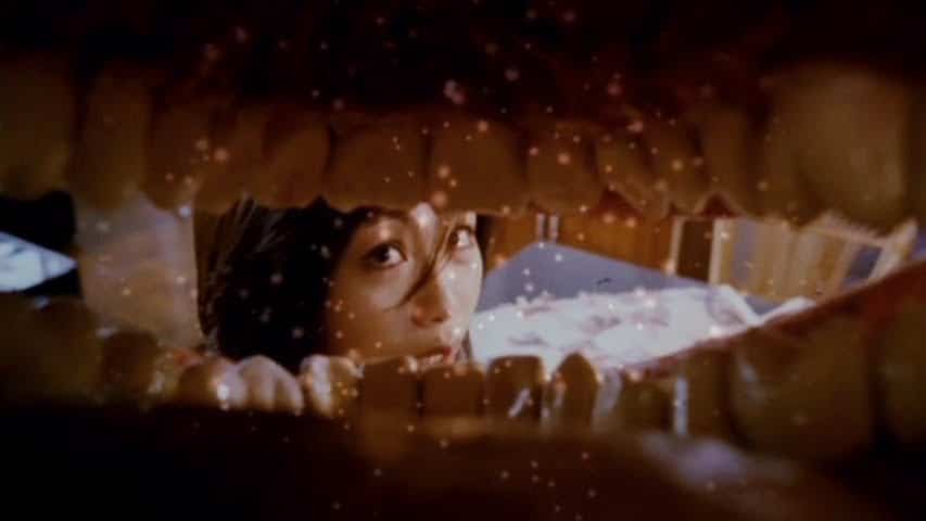 Ebola Syndrome (1996)