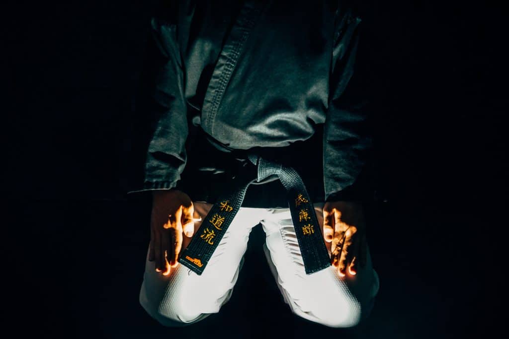 películas de artes marciales, películas de kung fu, película de kung fu, películas de karate, película de karate, mejor película de karate, bruce lee