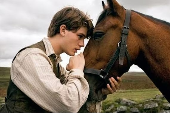 War Horse film