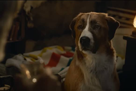 The Call of the Wild