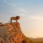 Disney lanza impresionantes nuevas fotografías de El Rey León (The Lion King)