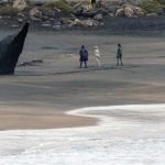 Imágenes de Marvel 'Los Eternos' desde el set revelan a Angelina Jolie como Thena en un traje de superheroína y otros personajes.