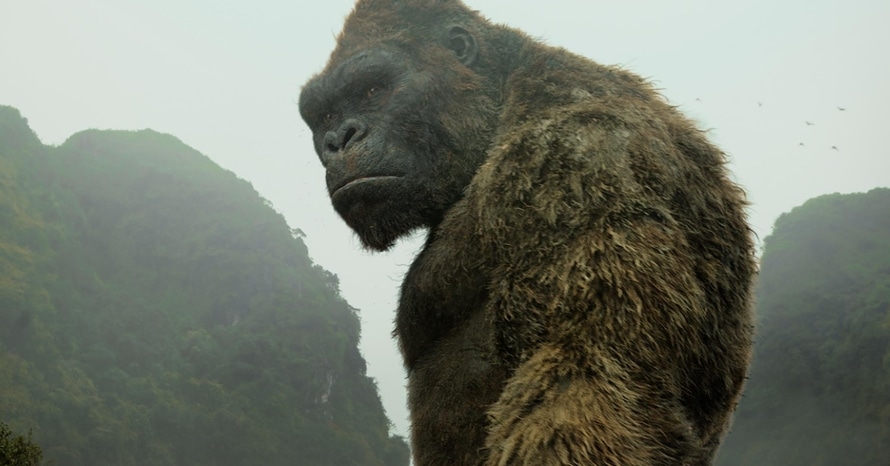 El cómic precuela de 'Kong Vs. Godzilla' revela la primera mirada al King Kong adulto.